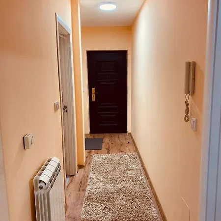 Aleksa Apartment *